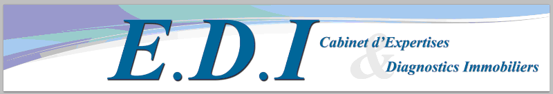 E.D.I. Logo